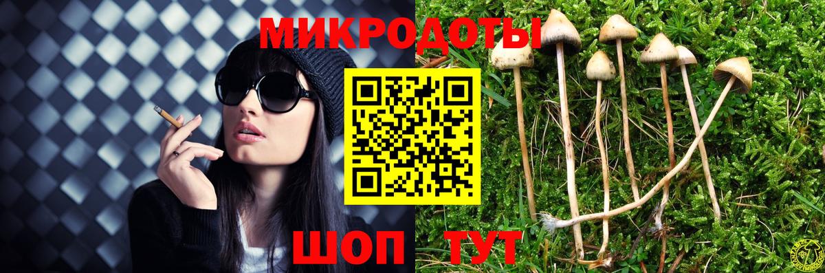 Псилоцибиновые грибы прущие грибы Ялта